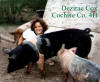 4-H Dez, Cochise Co., AZ