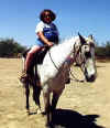 THE COWGIRL