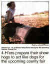 Dez makes the Front Page in Sierra Vista !!!