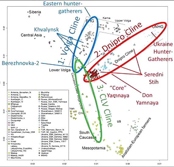 David Reich: The Genetic Origin of the Indo-Europeans