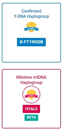 Confirmed Haplogroups are R-FT199508, Mtdna H16c3