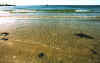 the Sea of Cortez